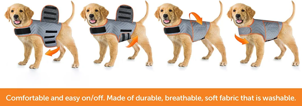 Sport Dog Anxiety Jacket Dog Costumes