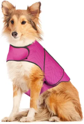 Trajes de cachorro com jaqueta de ansiedade para cães esportivos